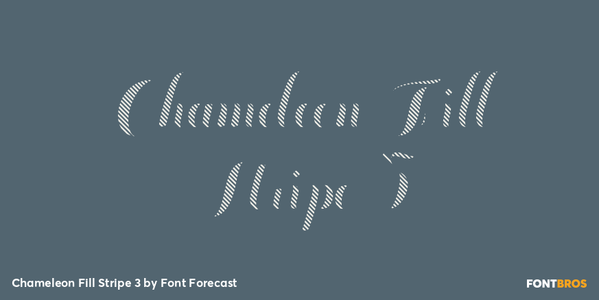 Chameleon Fill Stripe 3 Poster