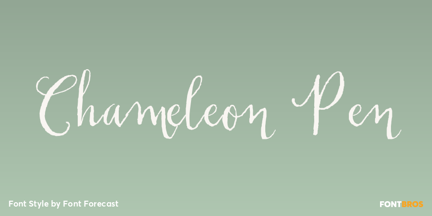 Chameleon Pen Poster