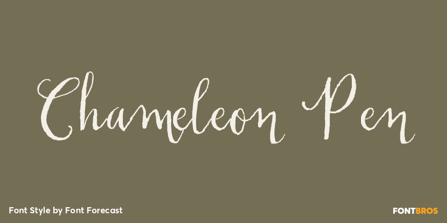 Chameleon Pen Poster