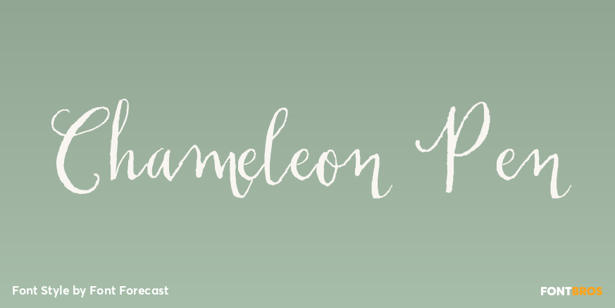 Chameleon Pen Poster