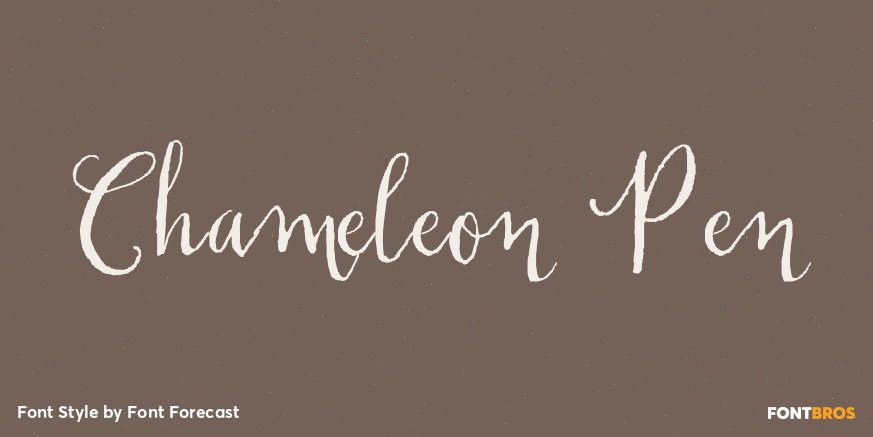 Chameleon Pen Poster