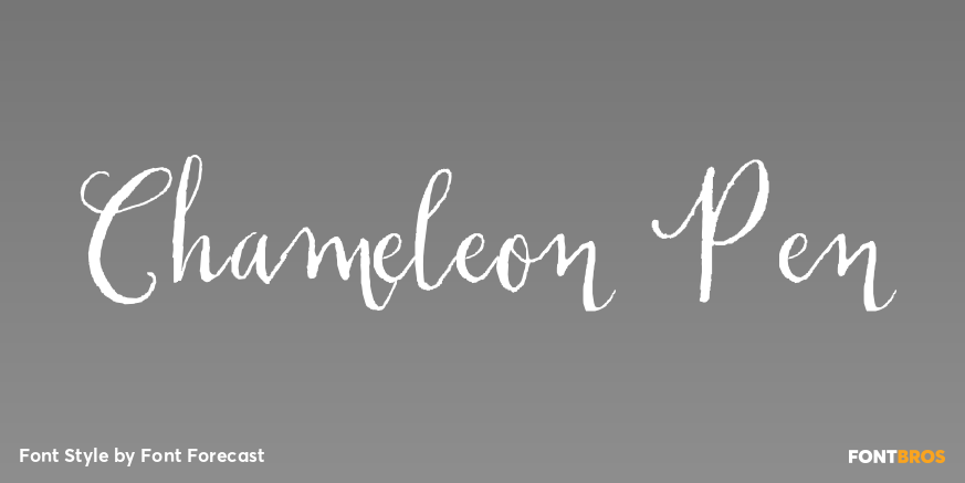 Chameleon Pen Poster