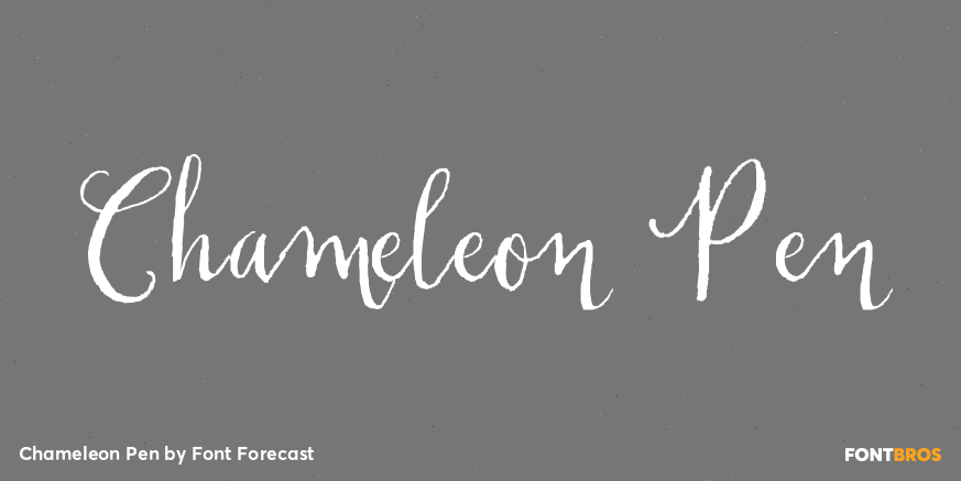 Chameleon Pen Poster