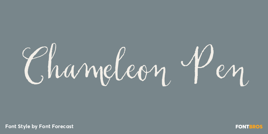 Chameleon Pen Poster