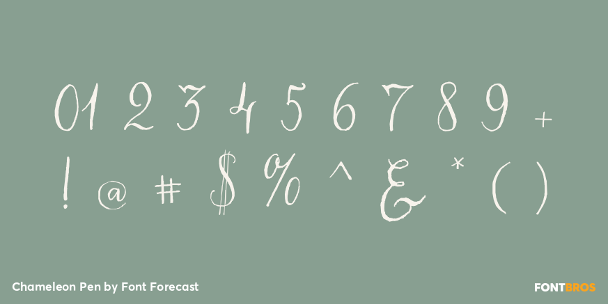 Chameleon Pen Font Poster #1