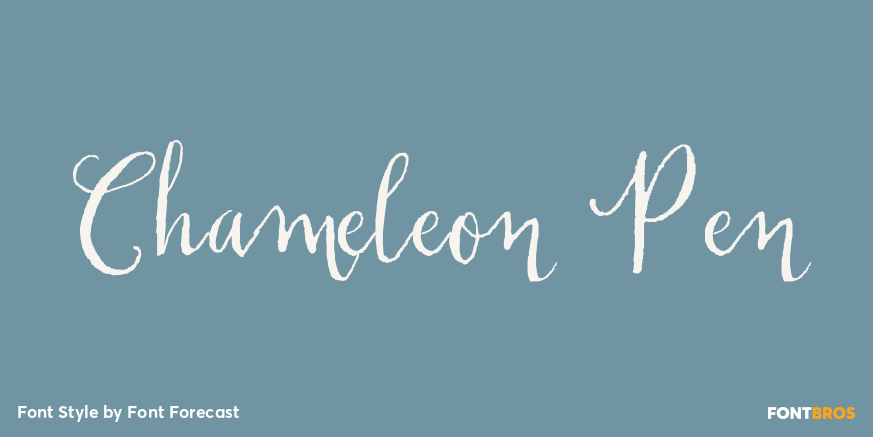 Chameleon Pen Poster