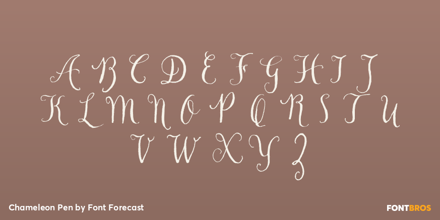 Chameleon Pen Font Poster #2