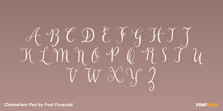Chameleon Pen Font Poster #1