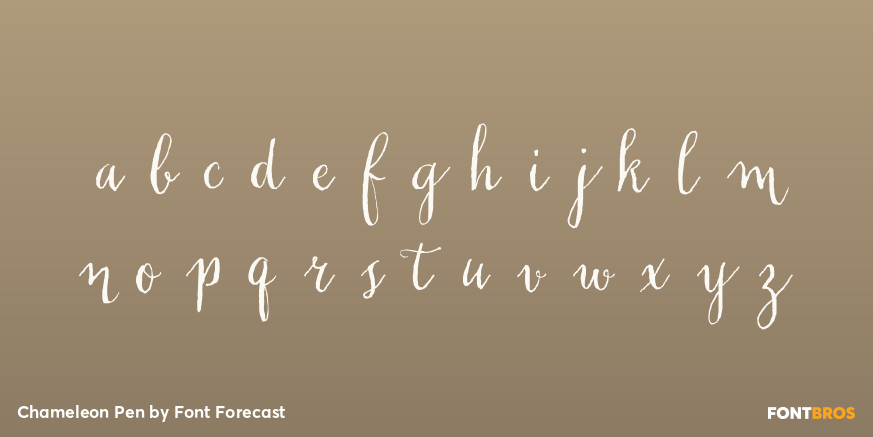 Chameleon Pen Font Poster #1