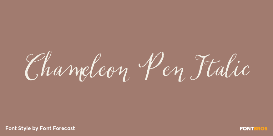Chameleon Pen Italic Poster