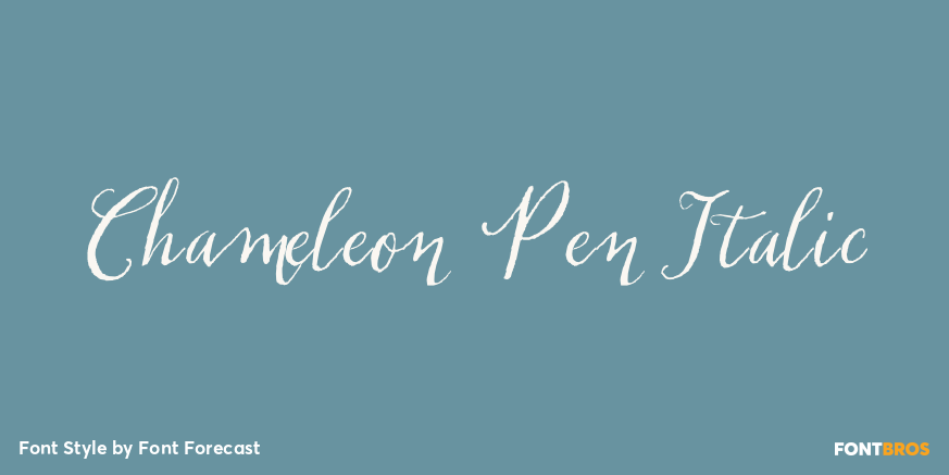 Chameleon Pen Italic Poster