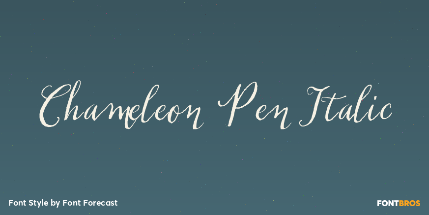 Chameleon Pen Italic Poster