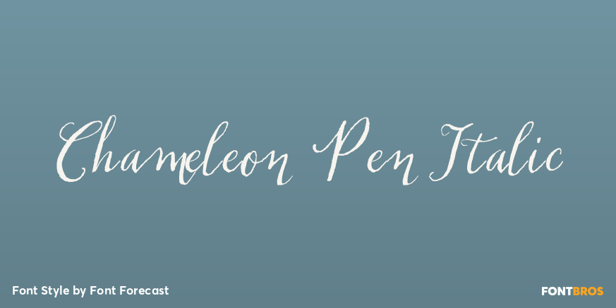 Chameleon Pen Italic Poster