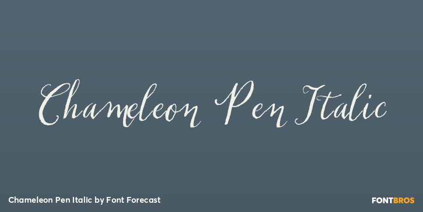 Chameleon Pen Italic Poster