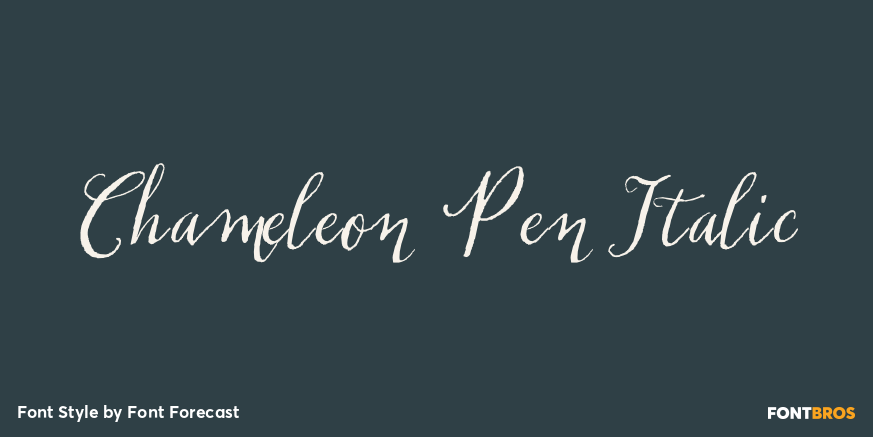Chameleon Pen Italic Poster