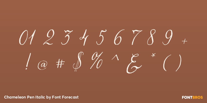 Chameleon Pen Italic Font Poster #1