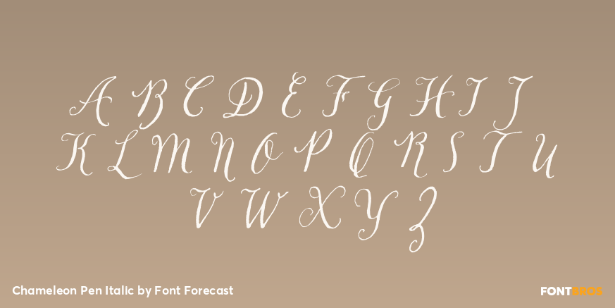 Chameleon Pen Italic Font Poster #2