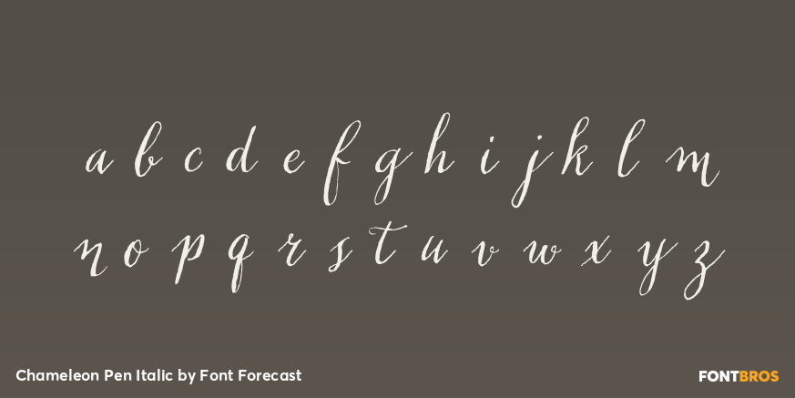 Chameleon Pen Italic Font Poster #3