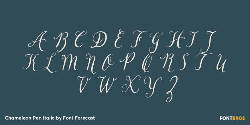 Chameleon Pen Italic Font Poster #1