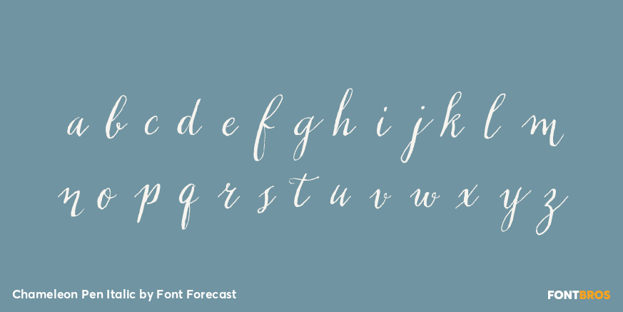 Chameleon Pen Italic Font Poster #1