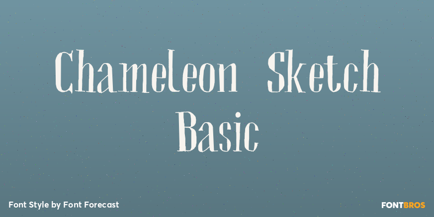 Chameleon Sketch Basic Poster