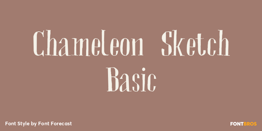 Chameleon Sketch Basic Poster