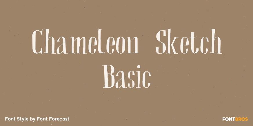 Chameleon Sketch Basic Poster