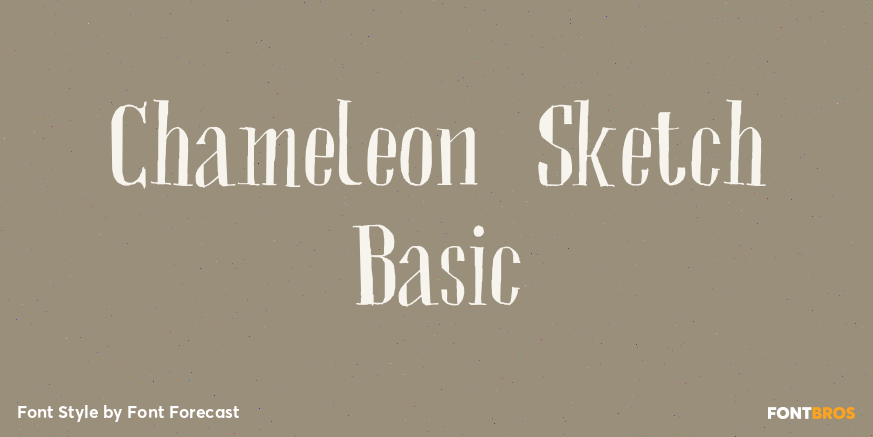 Chameleon Sketch Basic Poster