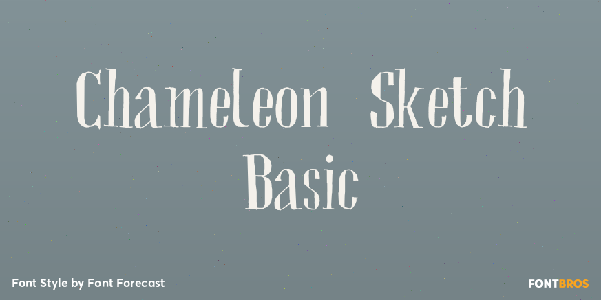 Chameleon Sketch Basic Poster