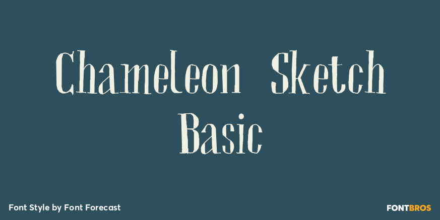 Chameleon Sketch Basic Poster