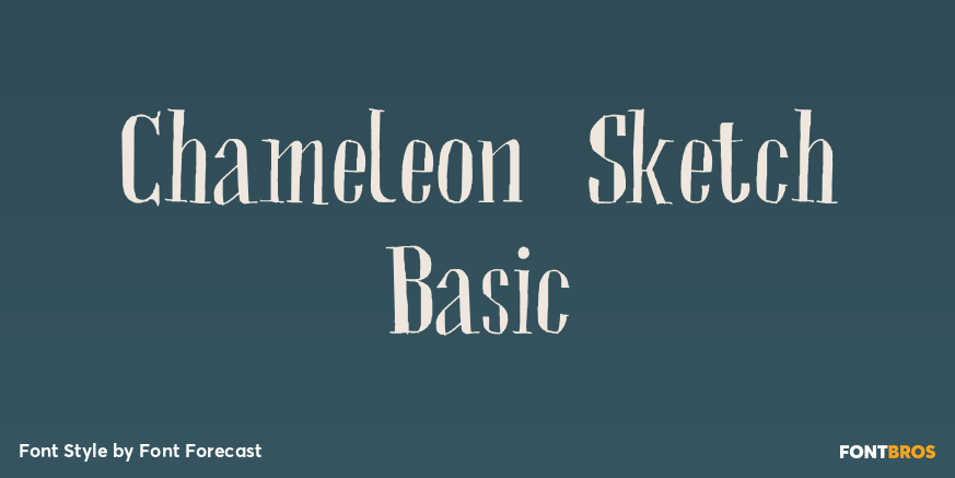 Chameleon Sketch Basic Poster