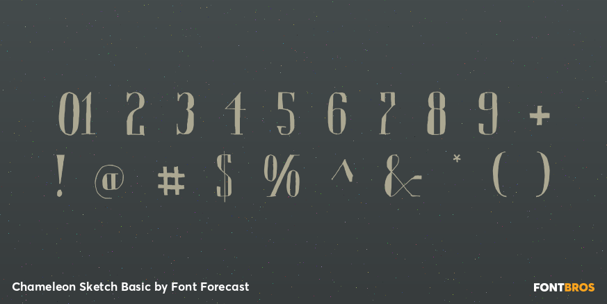 Chameleon Sketch Basic Font Poster #1