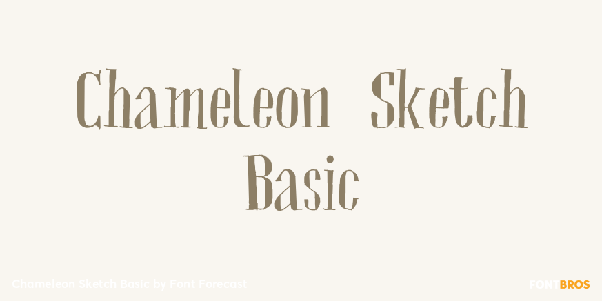 Chameleon Sketch Basic Poster