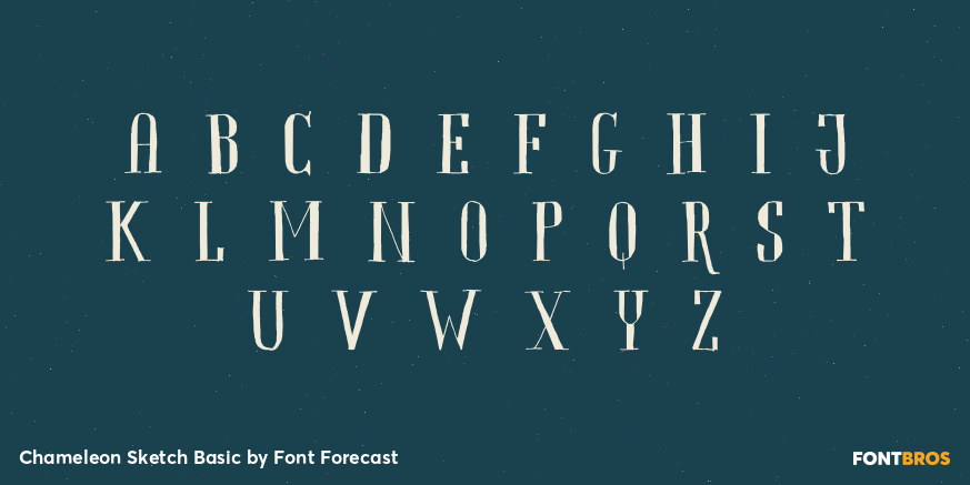 Chameleon Sketch Basic Font Poster #2