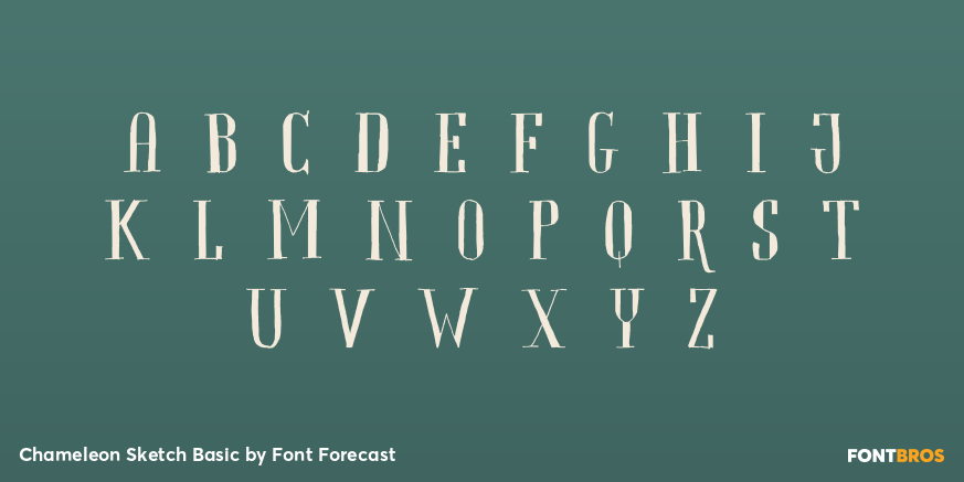 Chameleon Sketch Basic Font Poster #1