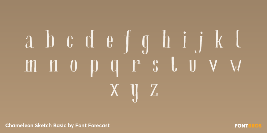 Chameleon Sketch Basic Font Poster #1