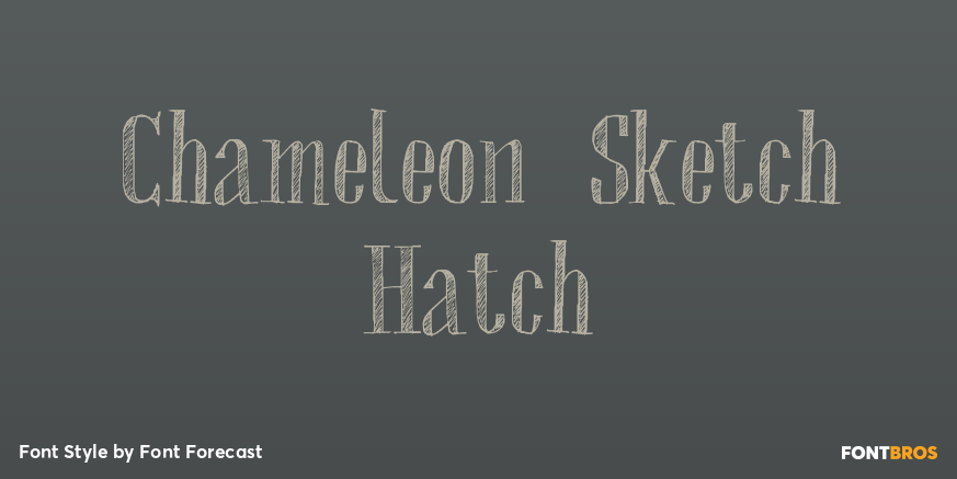 Chameleon Sketch Hatch Poster
