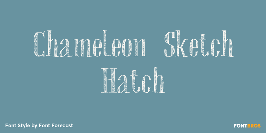 Chameleon Sketch Hatch Poster