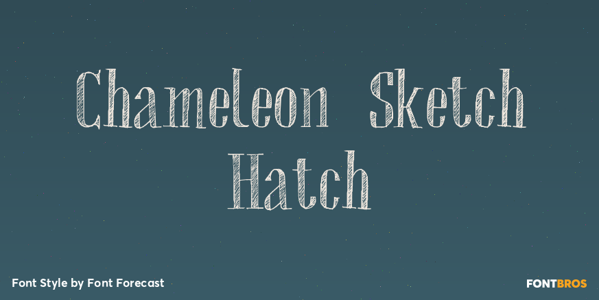 Chameleon Sketch Hatch Poster