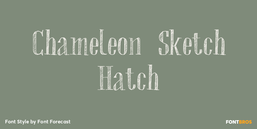 Chameleon Sketch Hatch Poster