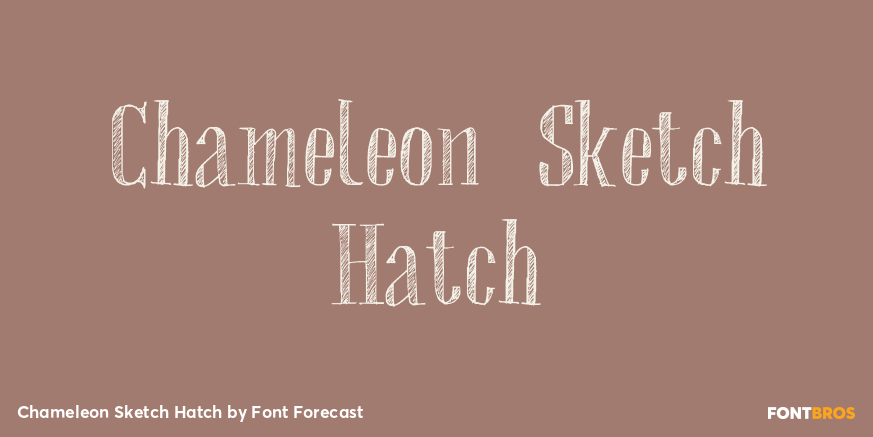 Chameleon Sketch Hatch Poster