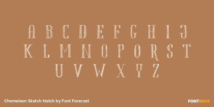 Chameleon Sketch Hatch Font Poster #2