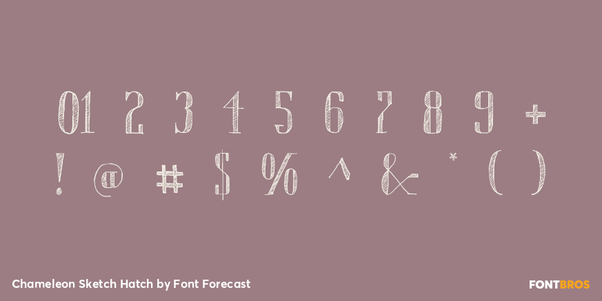 Chameleon Sketch Hatch Font Poster #4