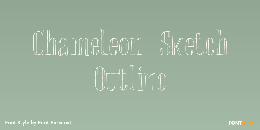 Chameleon Sketch Outline Poster