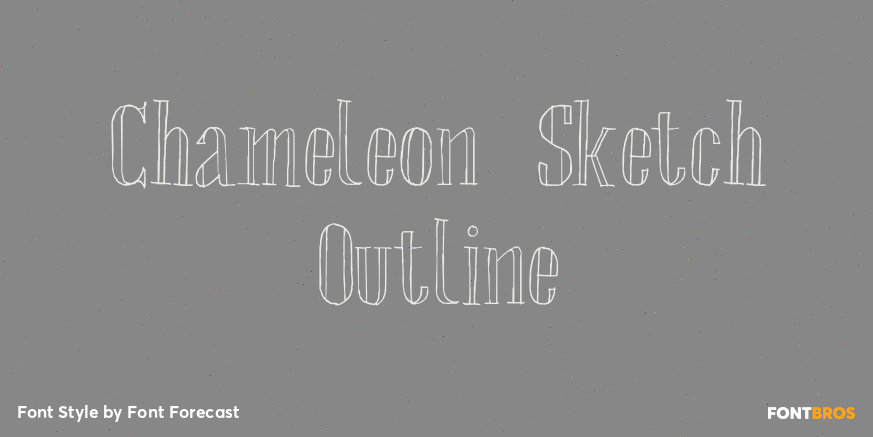 Chameleon Sketch Outline Poster