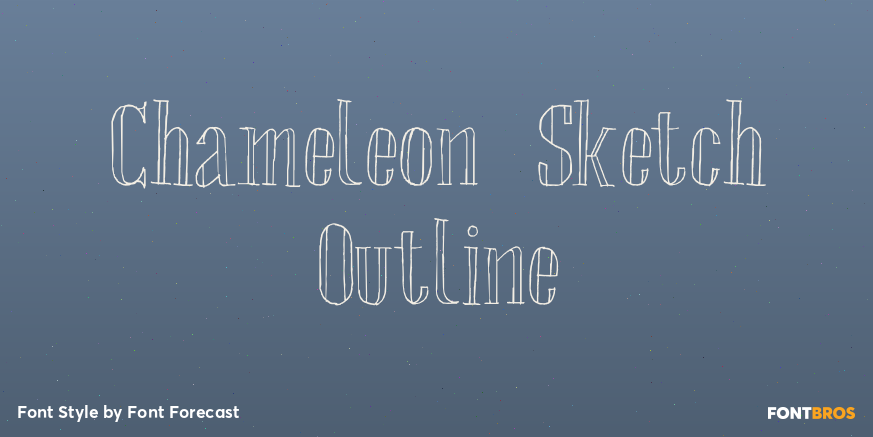 Chameleon Sketch Outline Poster