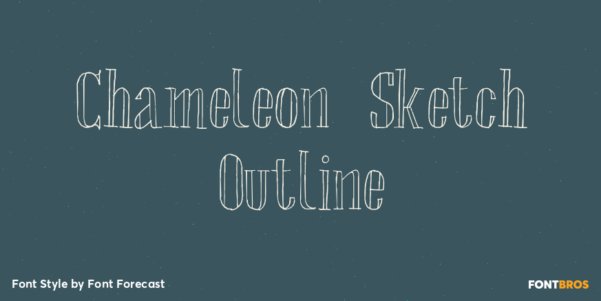 Chameleon Sketch Outline Poster