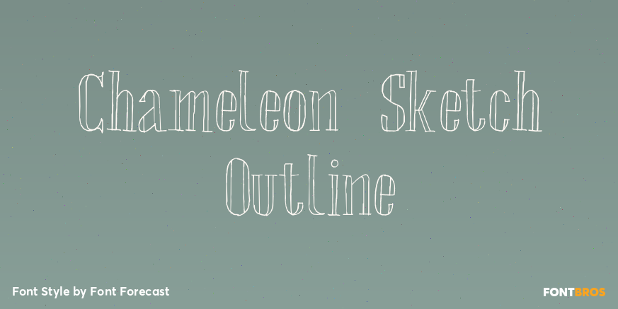 Chameleon Sketch Outline Poster