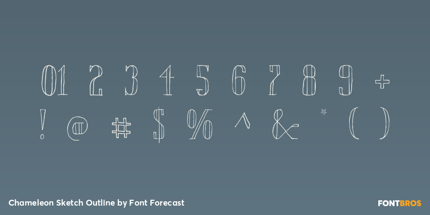 Chameleon Sketch Outline Font Poster #4
