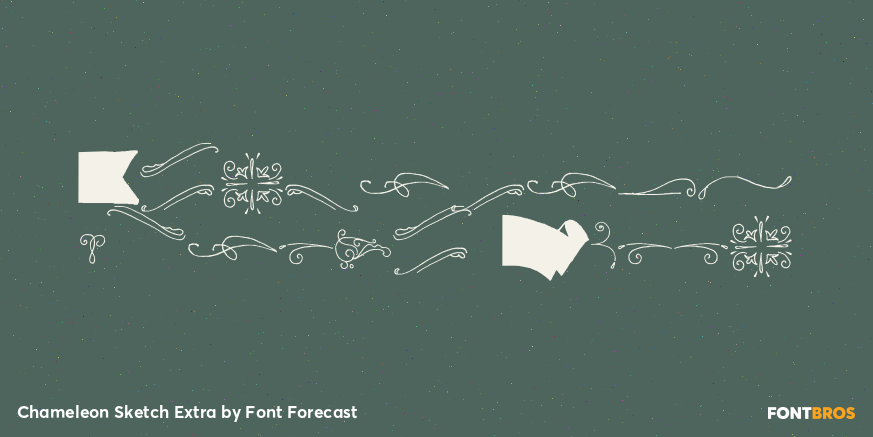 Chameleon Sketch Extra Poster